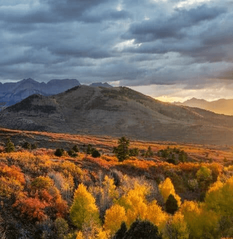 Colorado