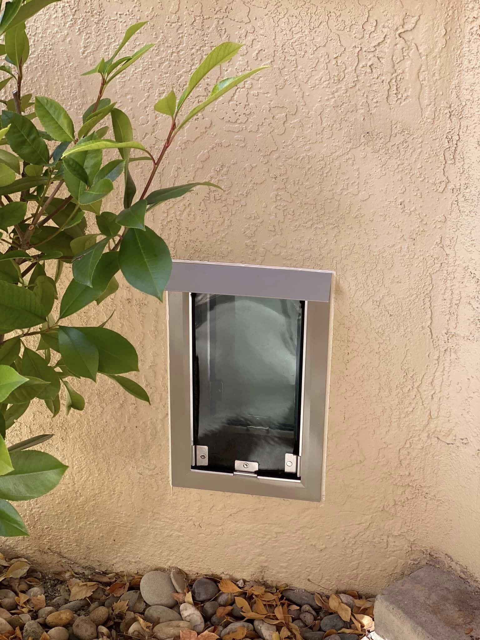 wall doggy door