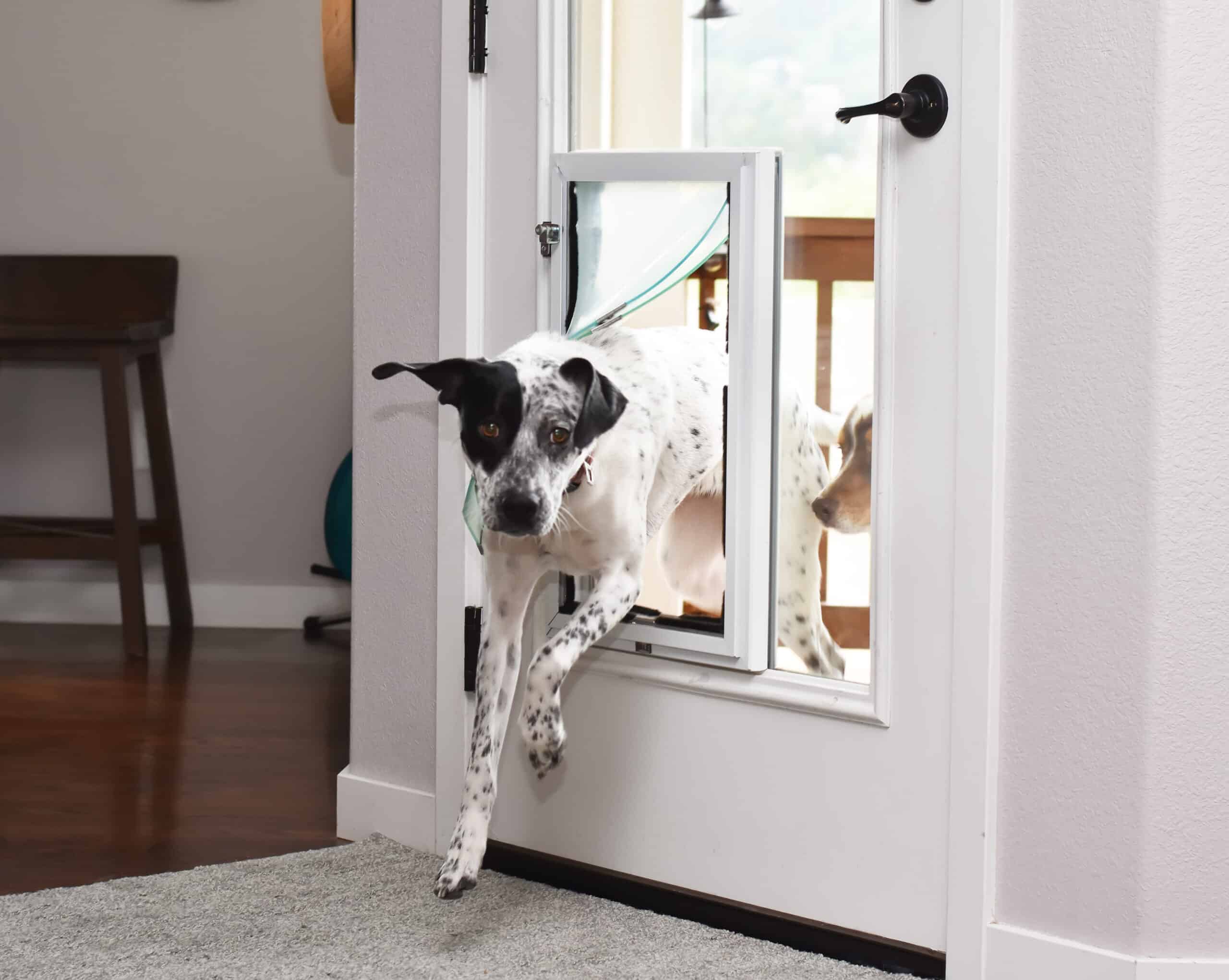 sliding glass door pet door