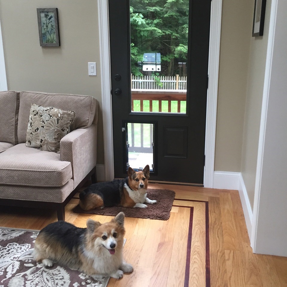 dog door for door installation