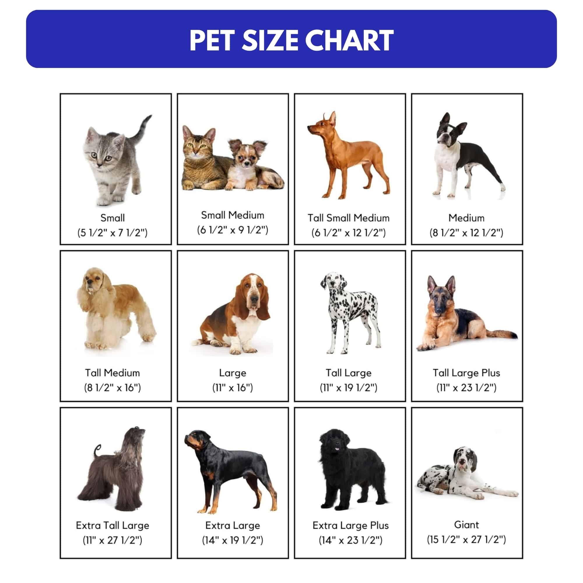 Pet door size chart with dimensions for different dog and cat breeds