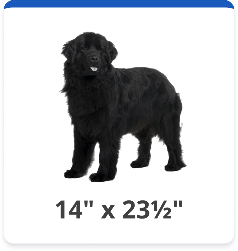 Extra Large Plus (14" x 23 1/2")