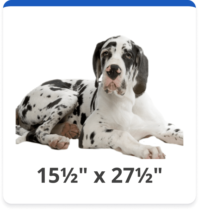 Dog and Cat Door Replacement Flap Kits Hale Pet Door