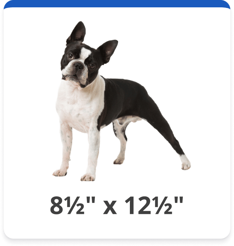 Dog and Cat Door Replacement Flap Kits Hale Pet Door