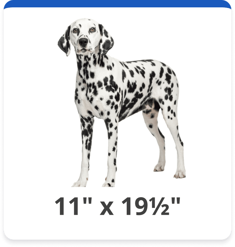 Dog and Cat Door Replacement Flap Kits Hale Pet Door