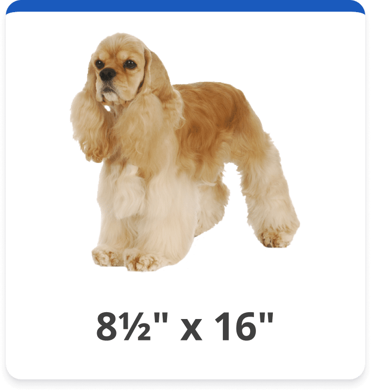 Dog and Cat Door Replacement Flap Kits Hale Pet Door