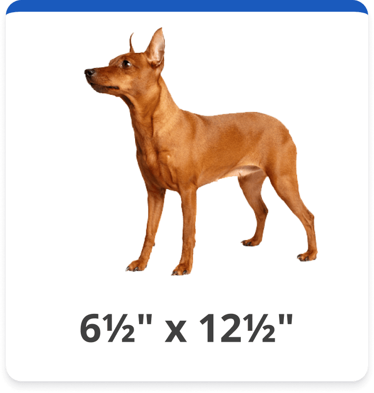 Tall Small Medium (6 1/2" x 12 1/2")