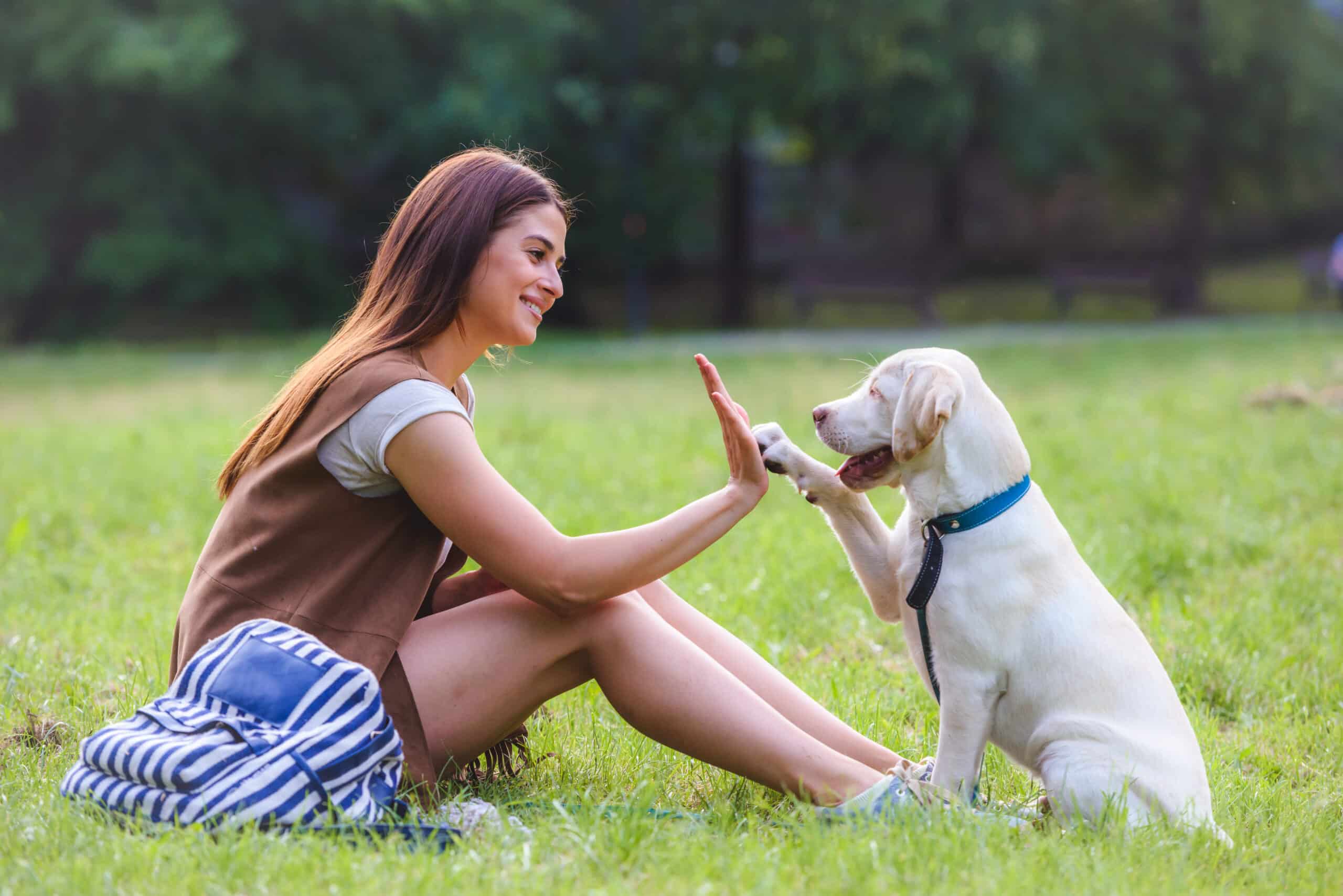 Woman and off-white dog giving each other a high five after she cleaned her pet door