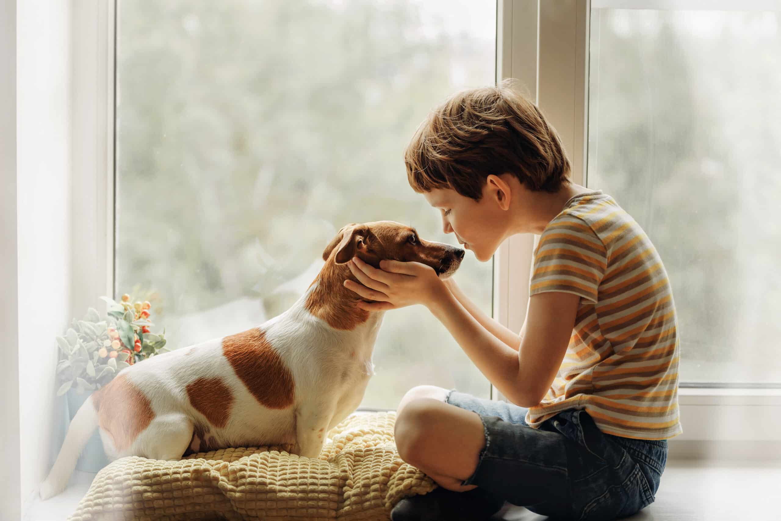 A boy and his dog sit beside the window.