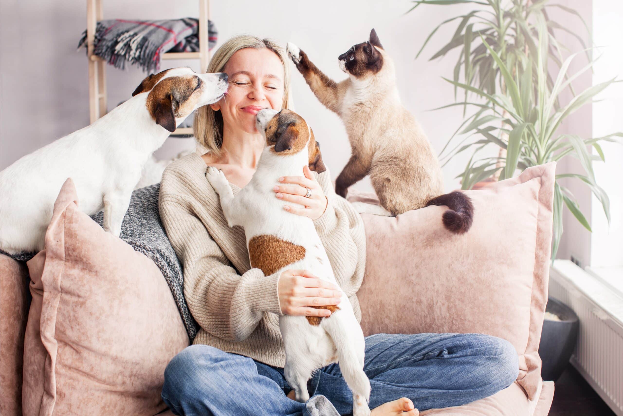 woman on couch with dogs and cat