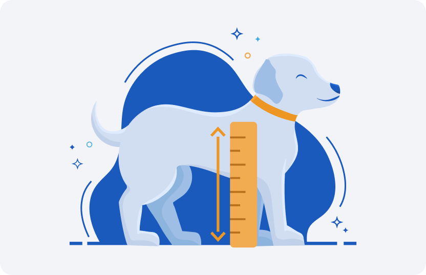 shoulder measurement for dog