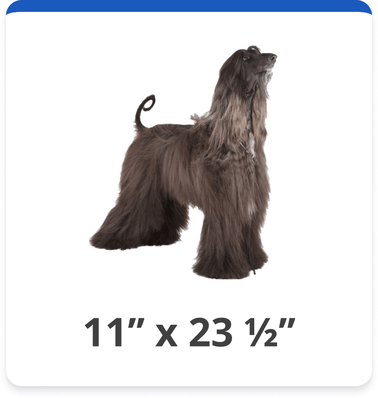 Dog and Cat Door Replacement Flap Kits Hale Pet Door