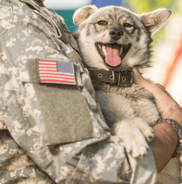 happy dog reunited with military owner