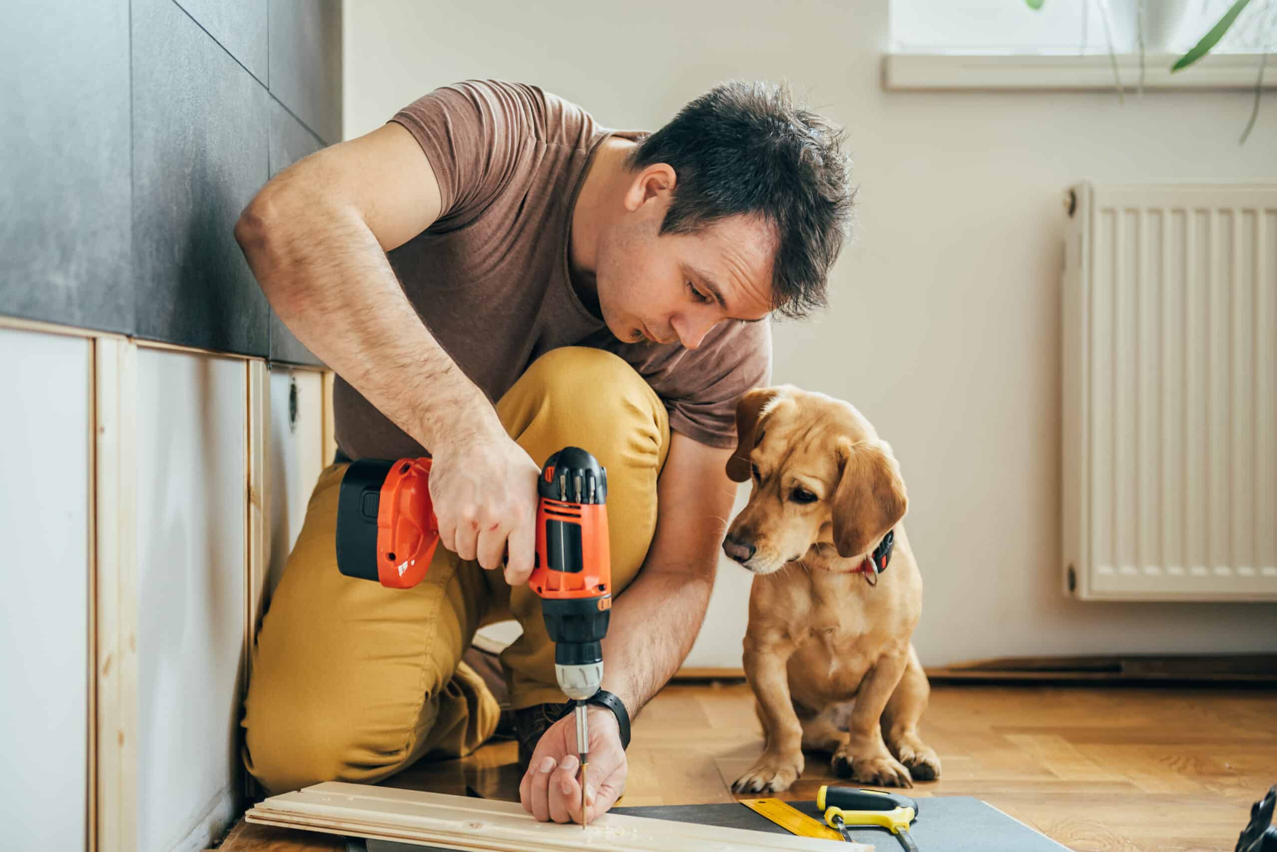 Discover the pros and cons of DIY vs. professional doggie door installation. Make the right choice for your furry friend today.